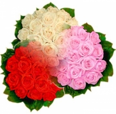 Круглый плотный букет из роз выбранного Вами цвета