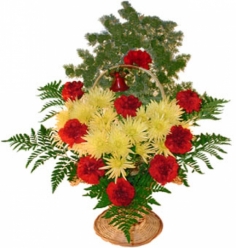 Корзинка с красными гвоздиками и желтыми кустовыми хризантемами
